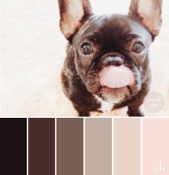 french-bulldog-brindle-blush-color-palette